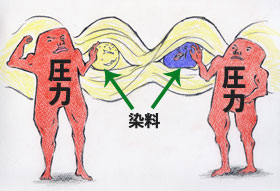 リエステルを高圧・高温で染める場合