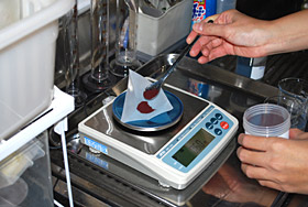 染色試験までの流れ 画像 6/6