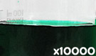 「食用色素製剤 みどり色 B」の水溶希釈例（10000倍）