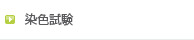 染色試験
